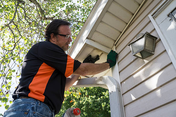 Best Storm Damage Siding Repair  in Havre, MT